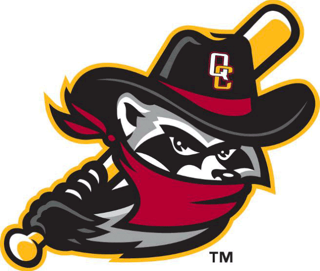 Quad Cities River Bandits 2014-Pres Alternate Logo 2 decal supplier